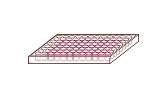 細胞懸濁液と1:1にて分注し、培養開始<br />最終濃度としては1％となるように調整