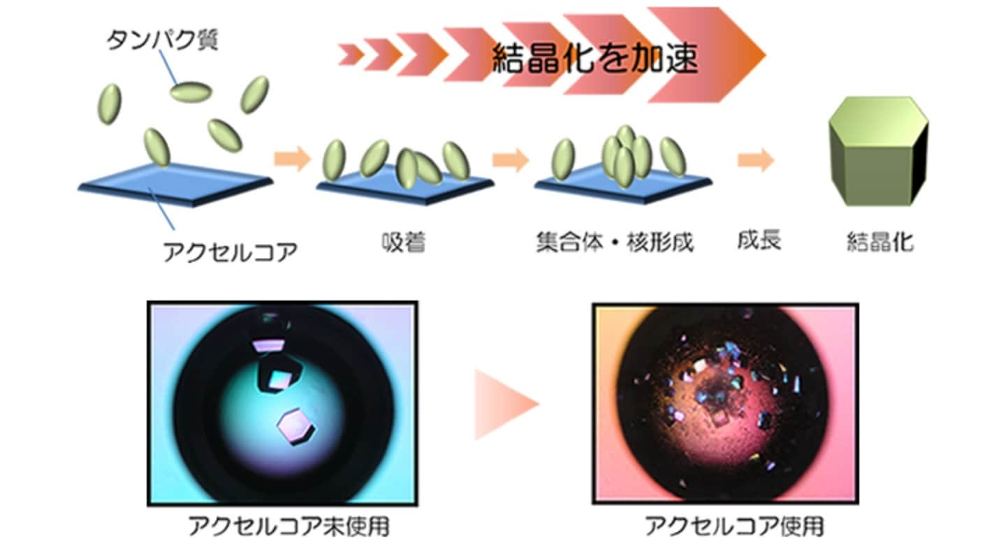 技術開発