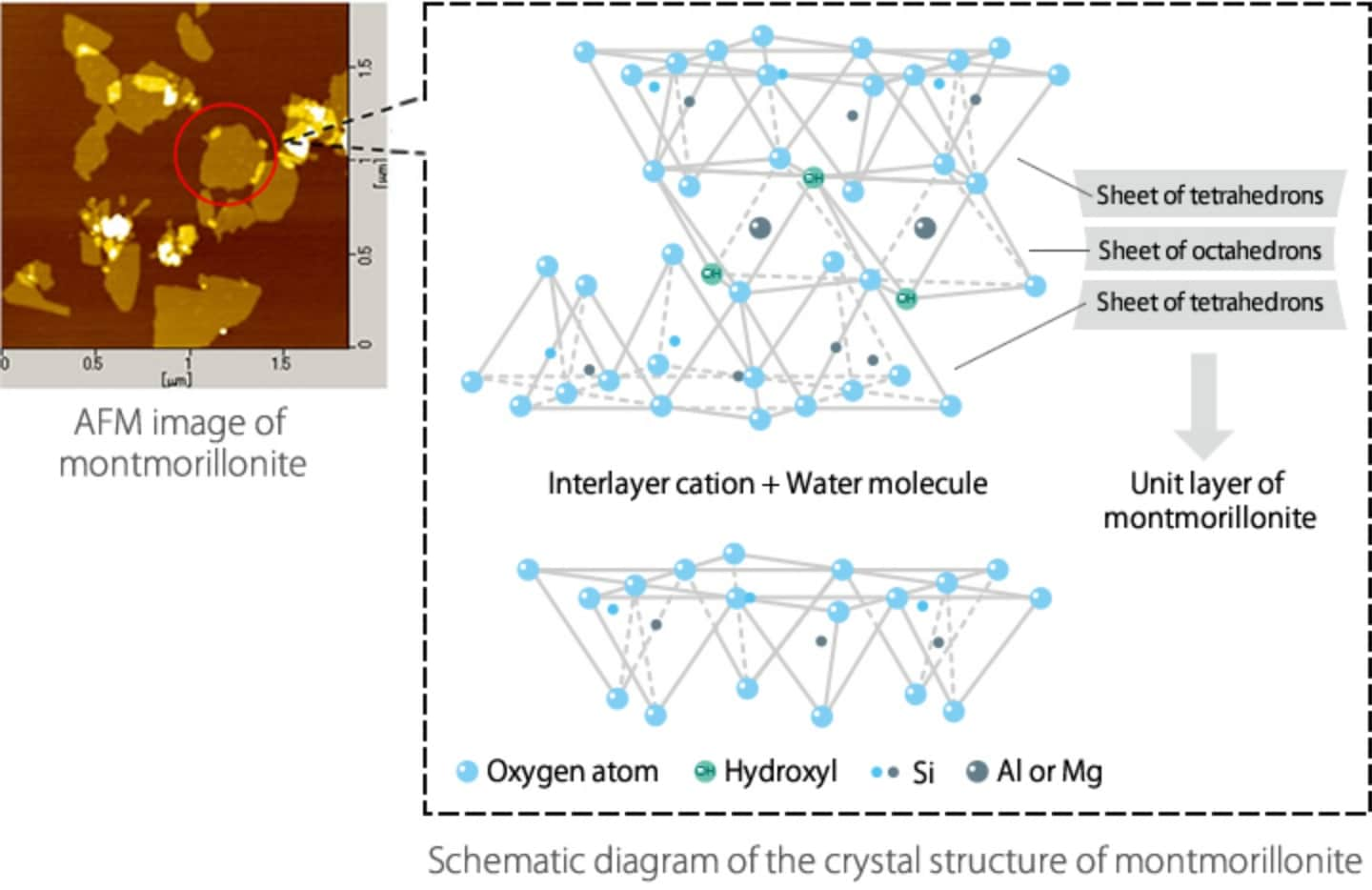 Crystal structure