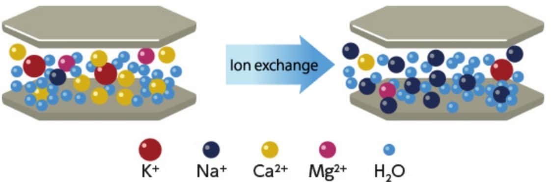Cation exchange