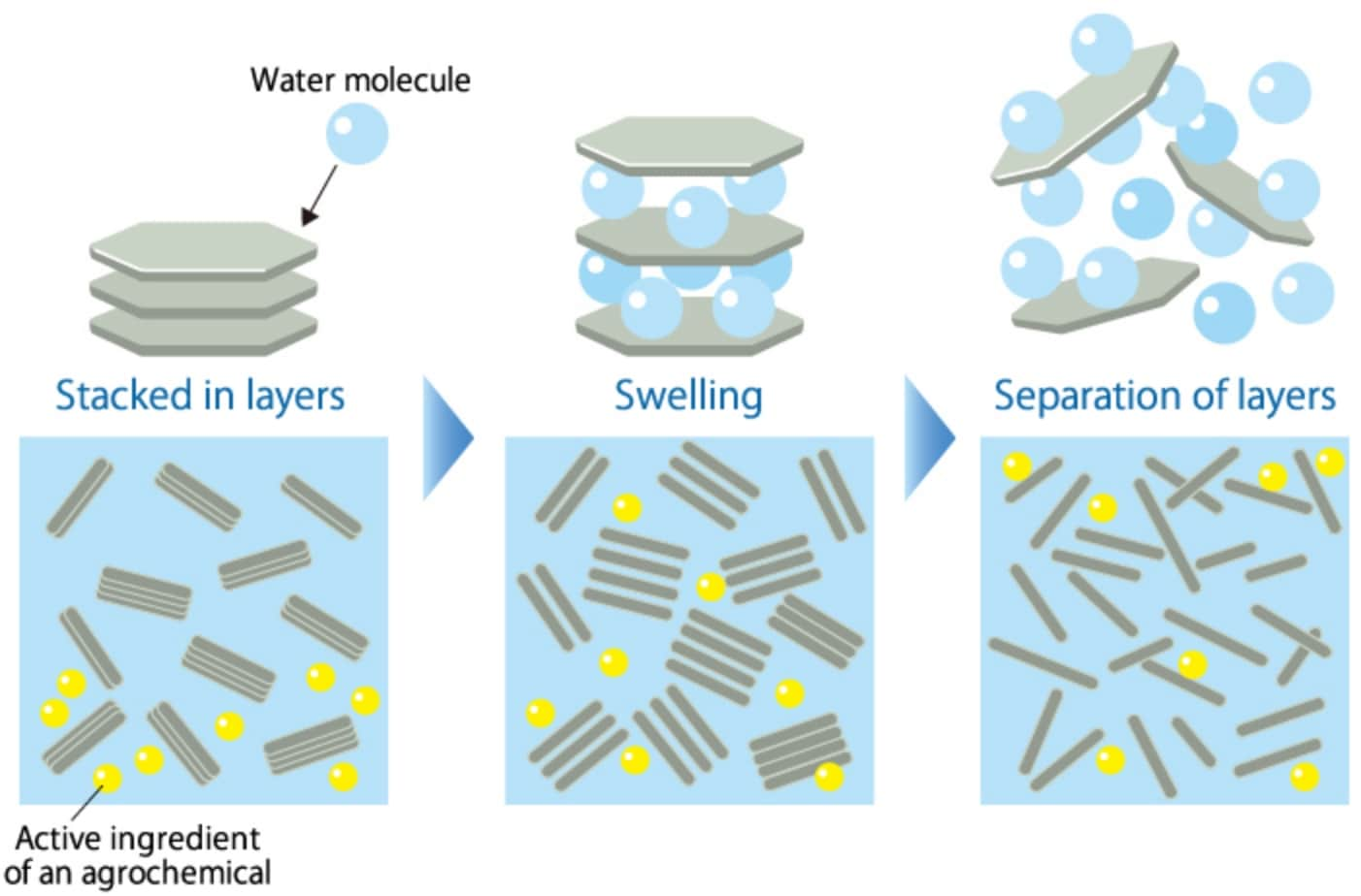 Conceptual image of swelling of montmorillonite