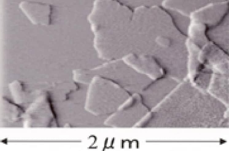 モンモリロナイト結晶像